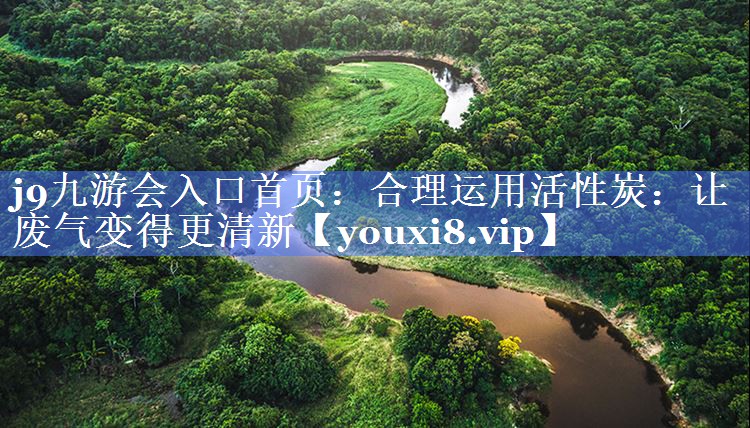合理运用活性炭：让废气变得更清新