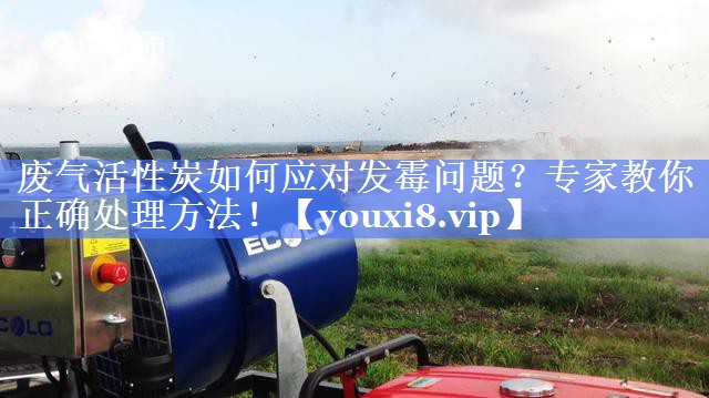 <strong>废气活性炭如何应对发霉问题？专家教你正确处理方法！</strong>