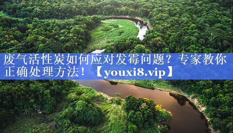 废气活性炭如何应对发霉问题？专家教你正确处理方法！